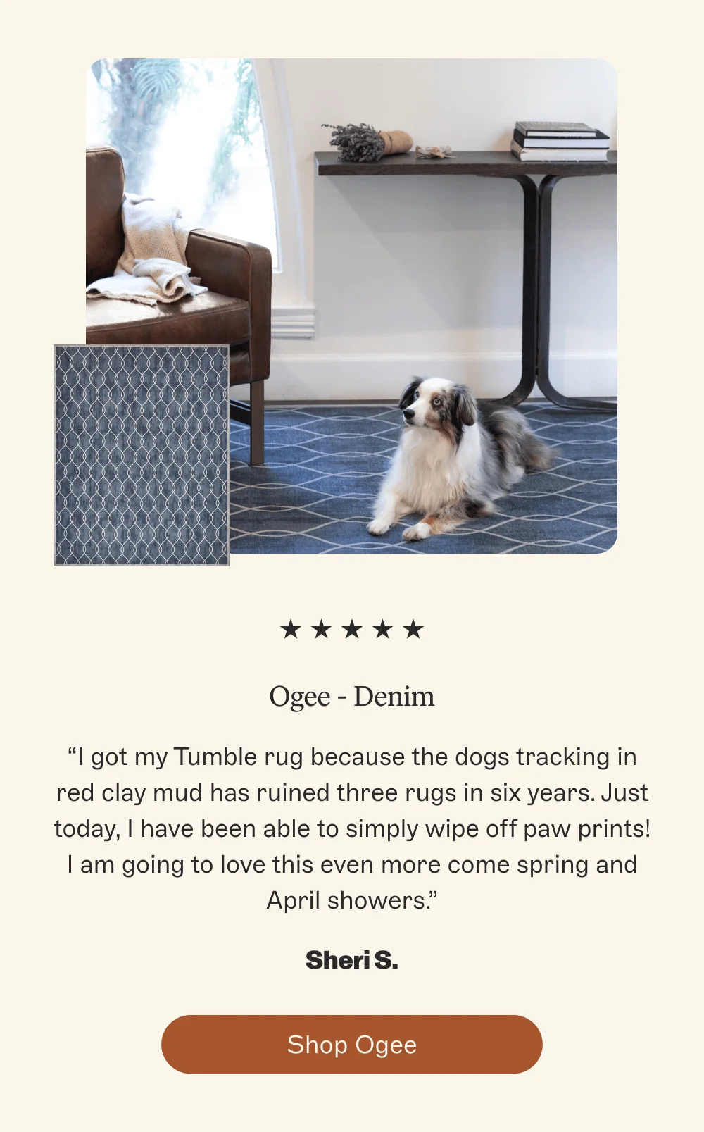 [Shop Ogee]