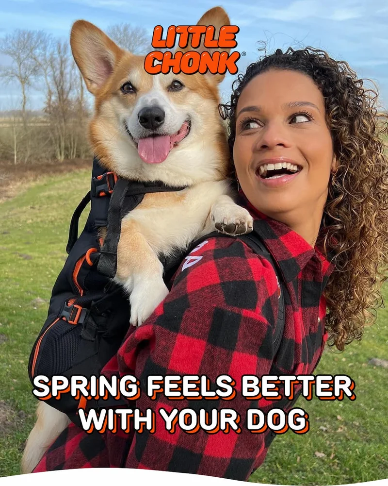 SPRING FEELS BETTER WITH YOUR DOG