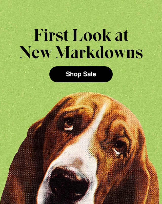 A green background with a basset hound looking up. The email says First Look at New Markdowns. Shop Sale