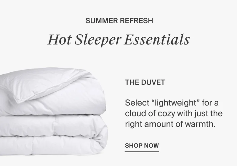 Down Duvet Insert