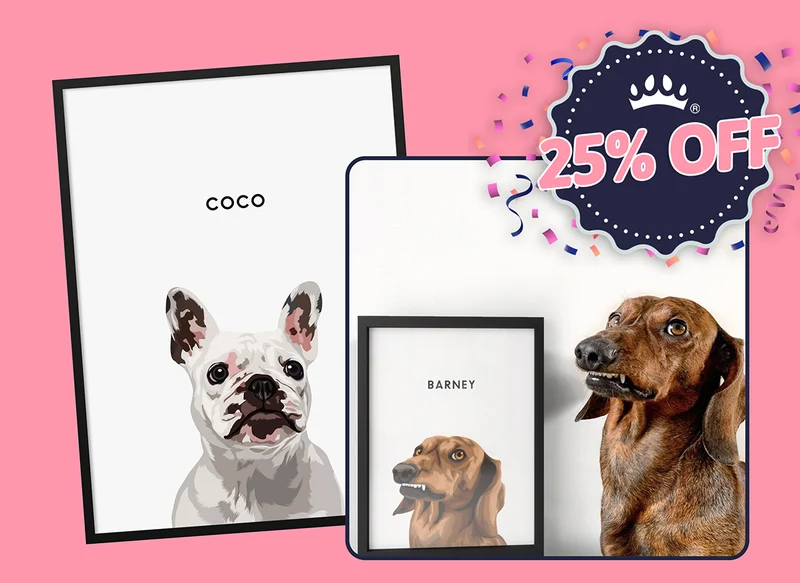 25% OFF Modern Pet Portrait