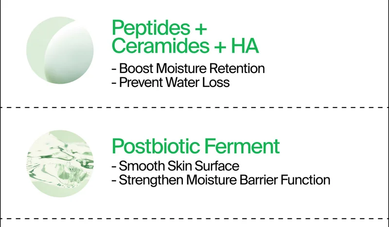 Peptides + Ceramides + HA