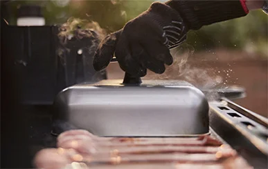 image of Weber Basting Dome