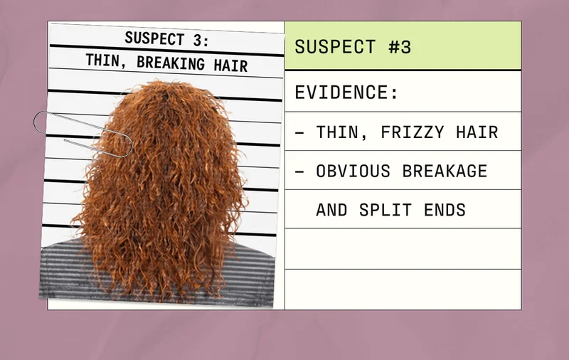 Suspect #3 | Evidence: Thin, Frizzy Hair, Obvious Breakage and Split Ends