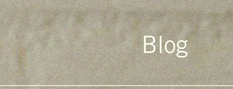 Blog