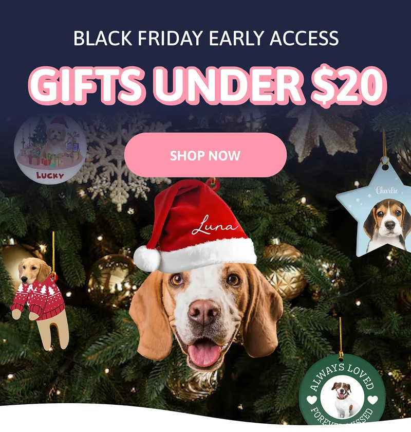 Black Friday Early Access. GIFTS UNDER $20