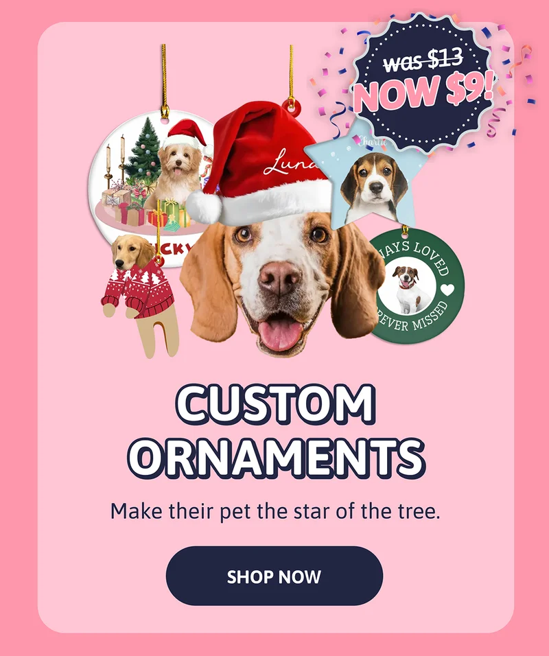 Custom Ornaments. Make their pet the star of the tree. Was $13. NOW $9.