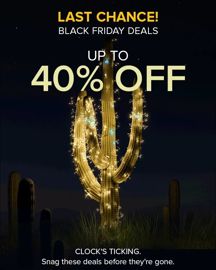 BLACK FRIDAY DEALS UP TO 40% OFF