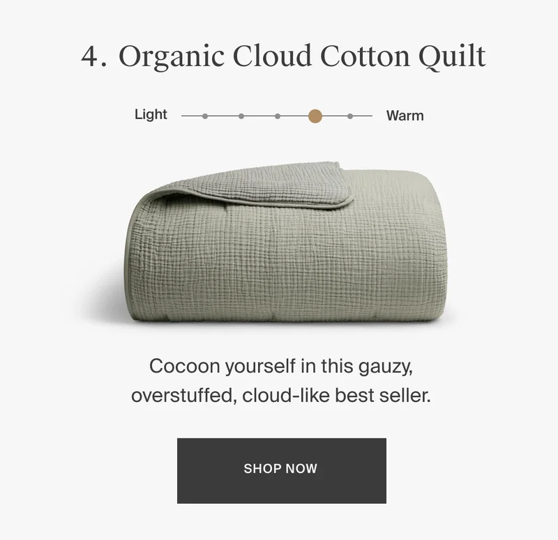 Shop Organic Cloud Cotton Quilt