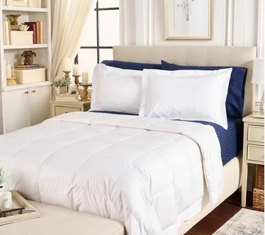 Northern Nights Shadow Dot Cotton 650FP Down Blanket Set - King