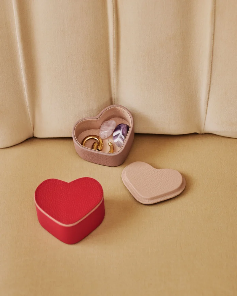 New Heart Organizer Case