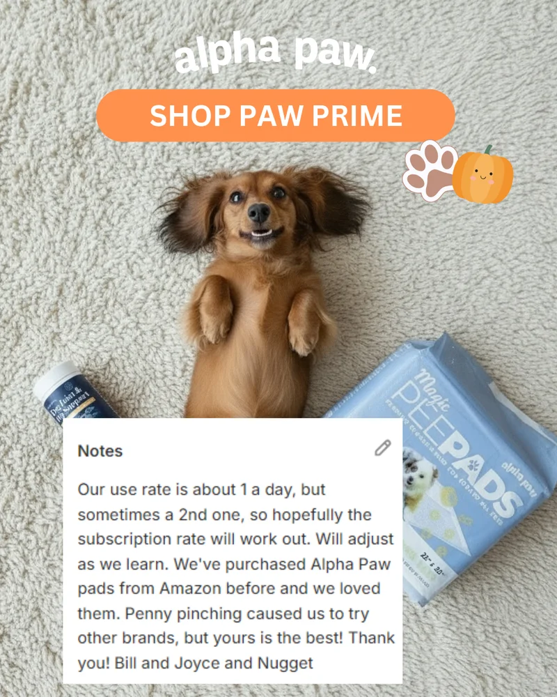 Paw Prime