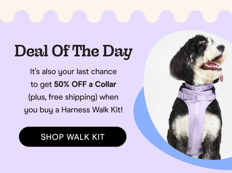 walk kit