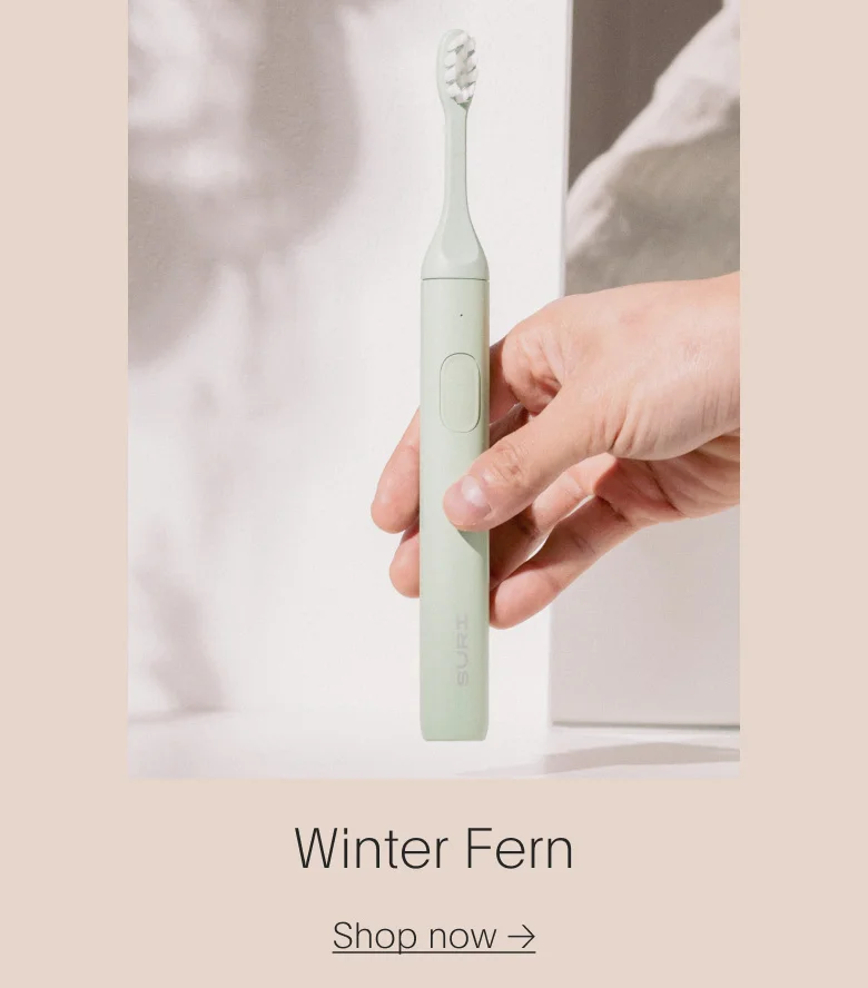 Winter Fern