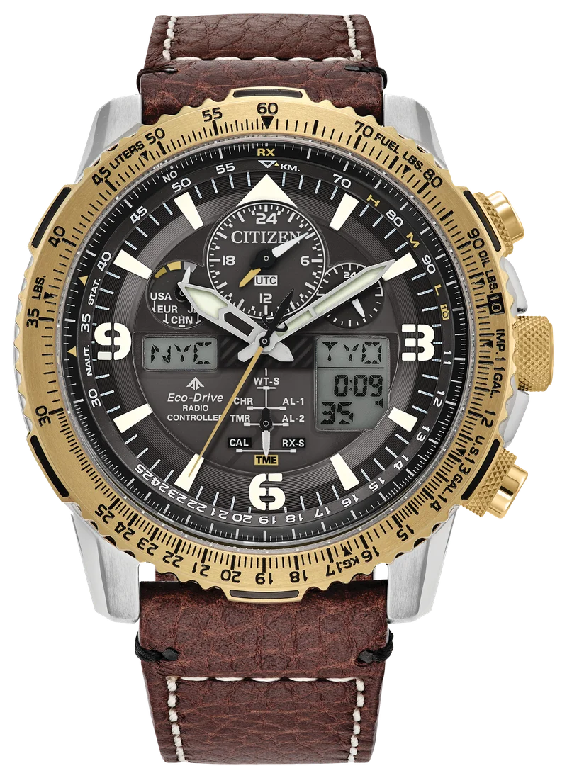 Image of Promaster Skyhawk A-T