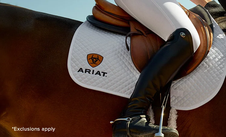 Buy 2 Breeches Get 25% off