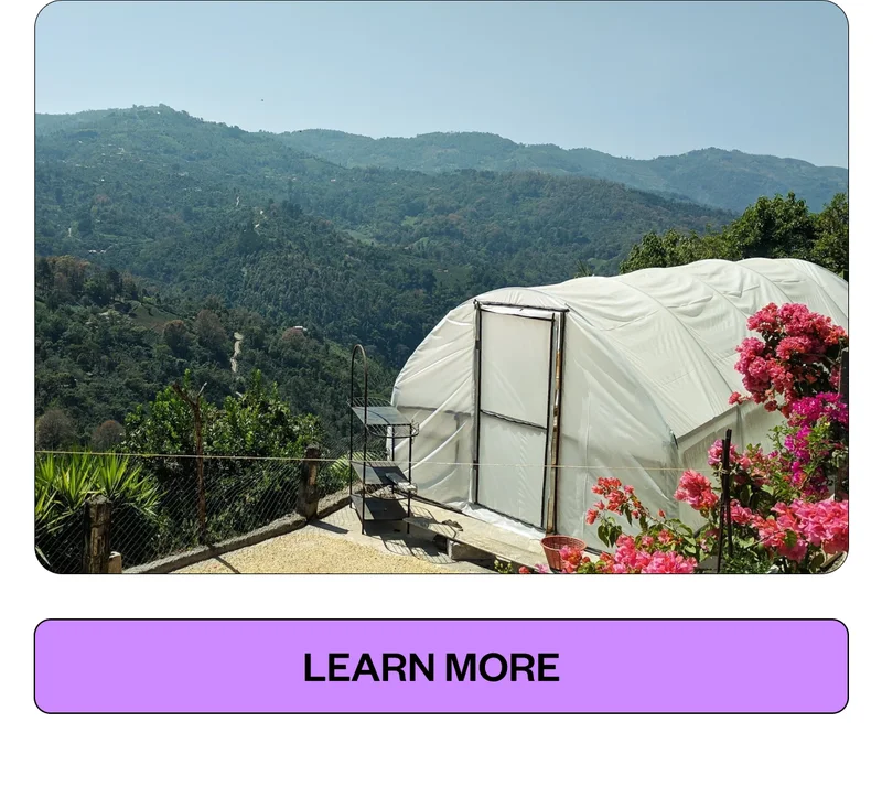 Learn More Learn More