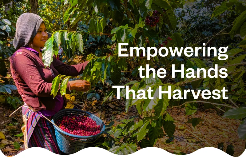 Empowering the Hands That Harvest Empowering the Hands That Harvest