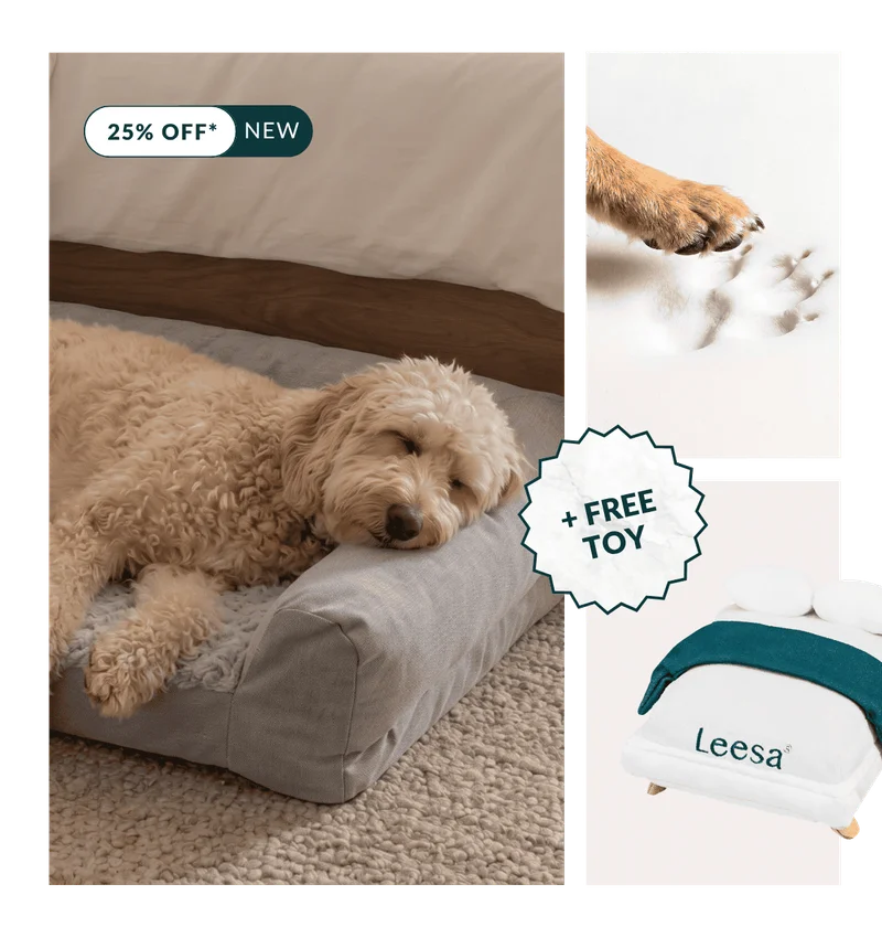 25% OFF* Our New Plush Bolster Pet Bed + FREE TOY