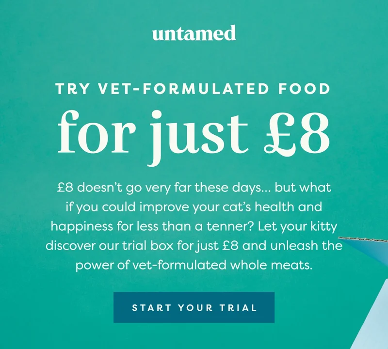 Try vet-formulated food for just £8. £8 doesn’t go very far these days… but what if you could improve your cat’s health and happiness for less than a tenner? Let your kitty discover our trial box is just £8 and unleash the power of vet-formulated whole meats.