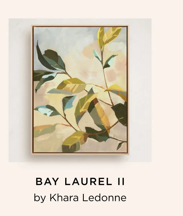 Bay Laurel II
