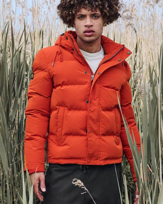 superdry