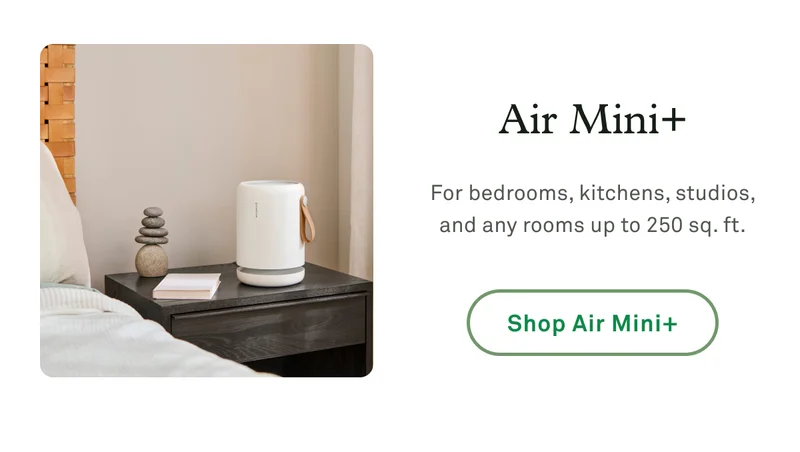 Air Mini+