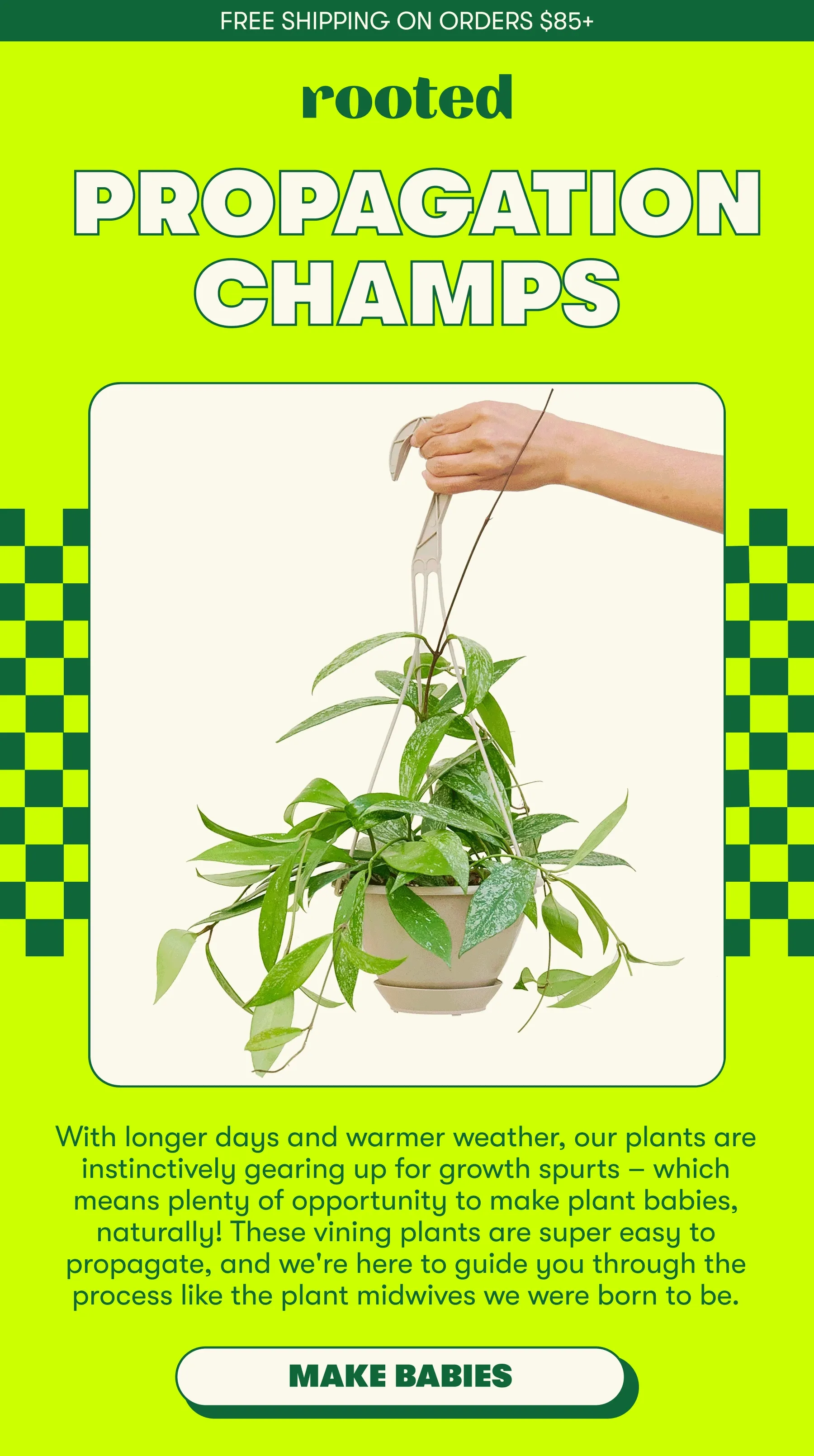 Free shipping on orders $85+ Propagation Champs. With longer days and warmer weather, our plants are instinctively gearing up for growth spurts – which means plenty of opportunity to make plant babies, naturally! These vining plants are super easy to propagate, and we're here to guide you through the process like the plant midwives we were born to be. Make babies
