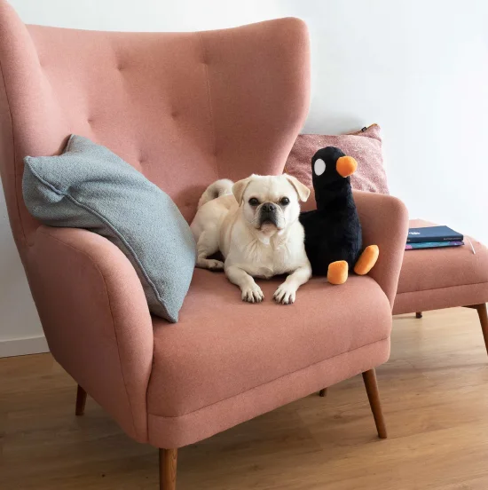 He is not only extremely huggable, but looks also a decorative addition to your home.