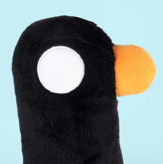 This is Duck, your new companion!