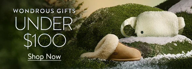 Wondrous Gifts Under $100; a slipper and plush belt bag.