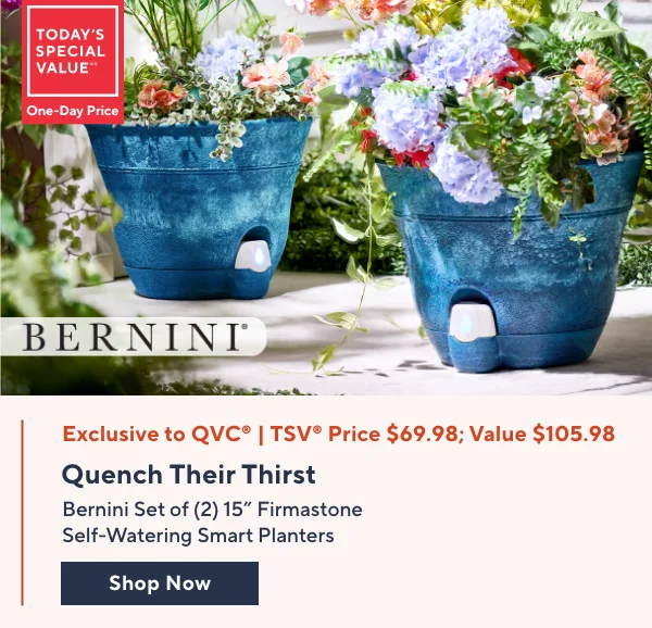 Bernini TSV
