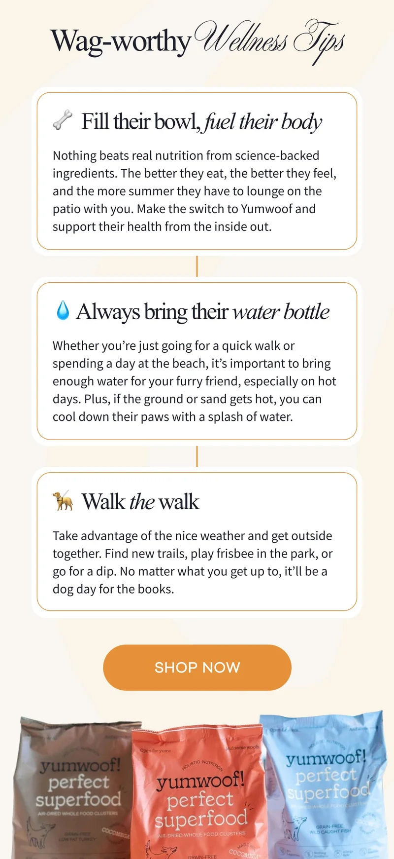 Wag-Worthy Wellness Tips | SHOP NOW