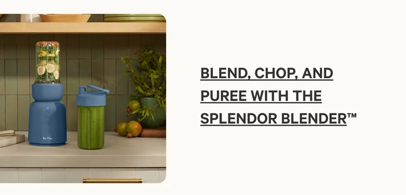 Blend, chop, and puree with the Splendor Blender™