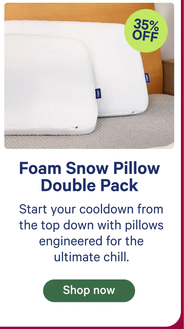 Foam snow pillow double pack