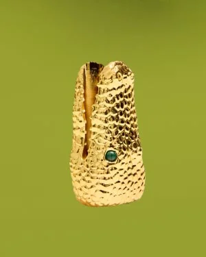 Croc Lighter Case