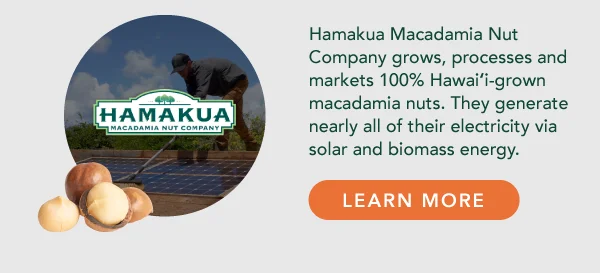 Discover Hamakua Macadamia Nut Company