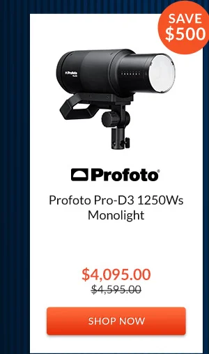 Profoto Pro-D3 1250Ws Monolight