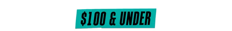 $100 & Under