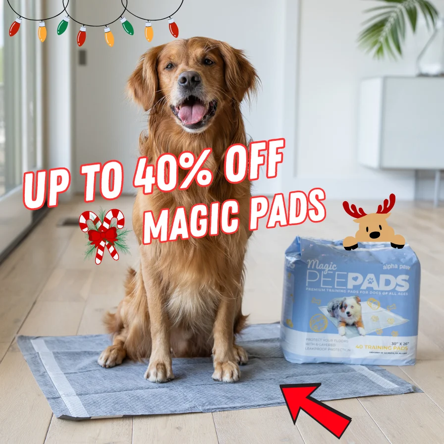 Magic Pads Pawlidays