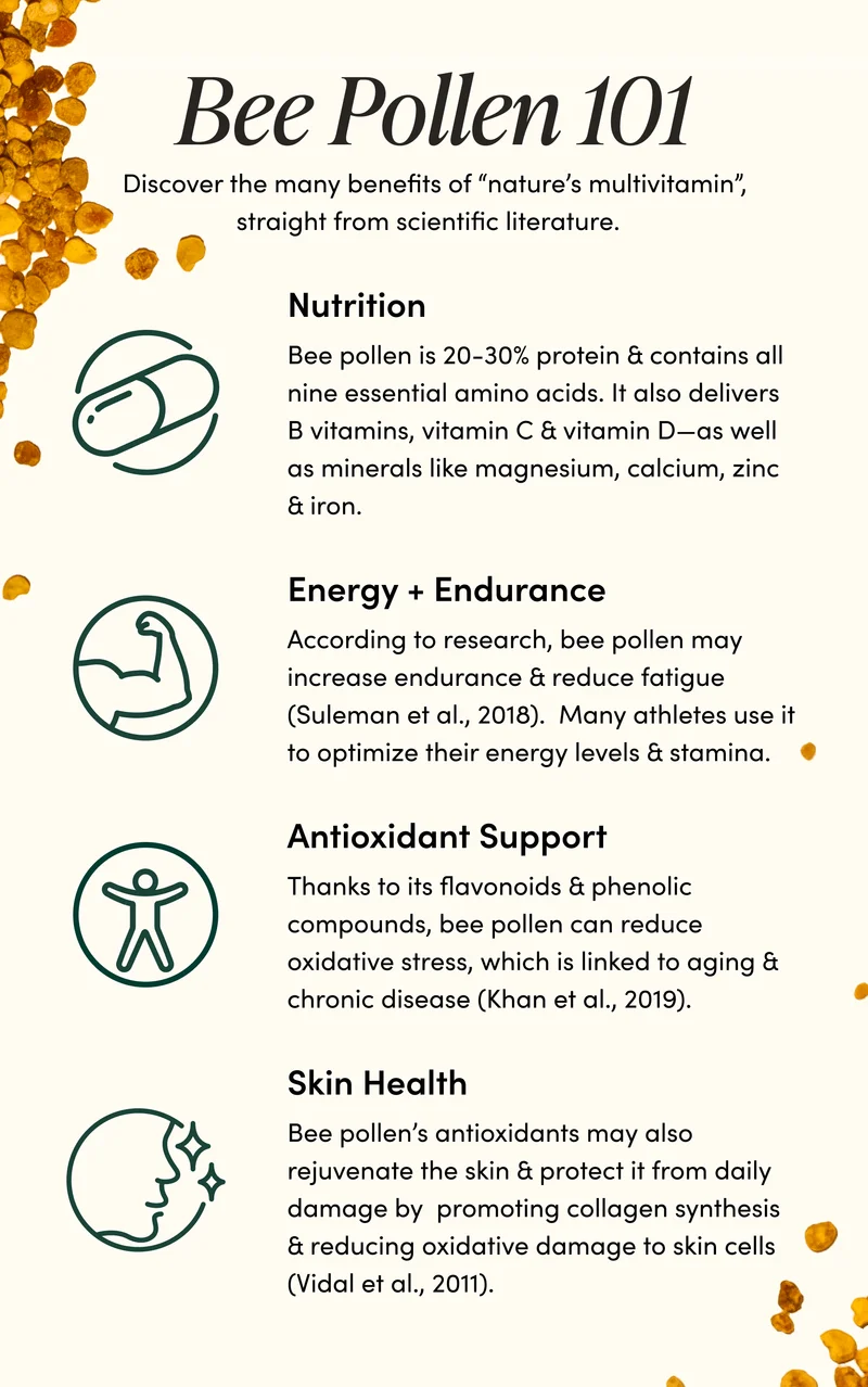 Bee Pollen 101       Discover the many benefits of “nature’s multivitamin”, straight from scientific literature.     Nutrition               Bee pollen is 20-30% protein & contains all nine essential amino acids. It also delivers B vitamins, vitamin C & vitamin D—as well as minerals like magnesium, calcium, zinc & iron.         Energy + Endurance         According to research, bee pollen may increase endurance & reduce fatigue (Suleman et al., 2018).  Many athletes use it to optimize their energy levels & stamina.   Antioxidant Support     Thanks to its flavonoids & phenolic compounds, bee pollen can reduce oxidative stress, which is linked to aging & chronic disease (Khan et al., 2019).      Skin Health   Bee pollen’s antioxidants may also rejuvenate the skin & protect it from daily damage by  promoting collagen synthesis & reducing oxidative damage to skin cells (Vidal et al., 2011).