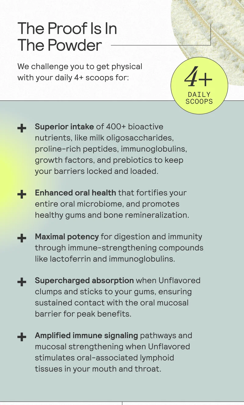 The Proof Is In The Powder. We challenge you to get physical with your daily 4+ scoops for: Superior intake of 400+ bioactive nutrients, like milk oligosaccharides, proline-rich peptides, immunoglobulins, growth factors, and prebiotics to keep your barriers locked and loaded. Enhanced oral health that fortifies your entire oral microbiome, and promotes healthy gums and bone remineralization. Maximal potency for digestion and immunity through immune-strengthening compounds like lactoferrin and immunoglobulins. + Supercharged absorption when Unflavored clumps and sticks to your gums, ensuring sustained contact with the oral mucosal barrier for peak benefits. Amplified immune signaling pathways and mucosal strengthening when Unflavored stimulates oral-associated lymphoid tissues in your mouth and throat.