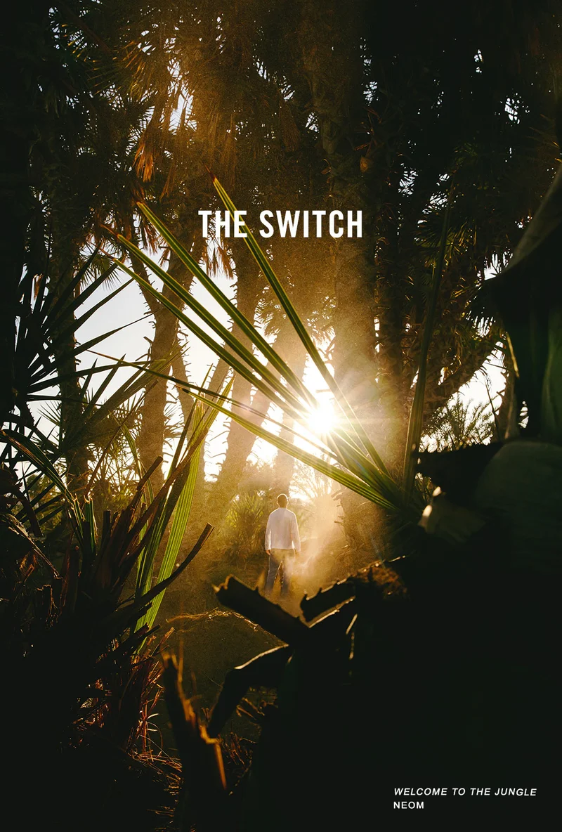 THE SWITCH