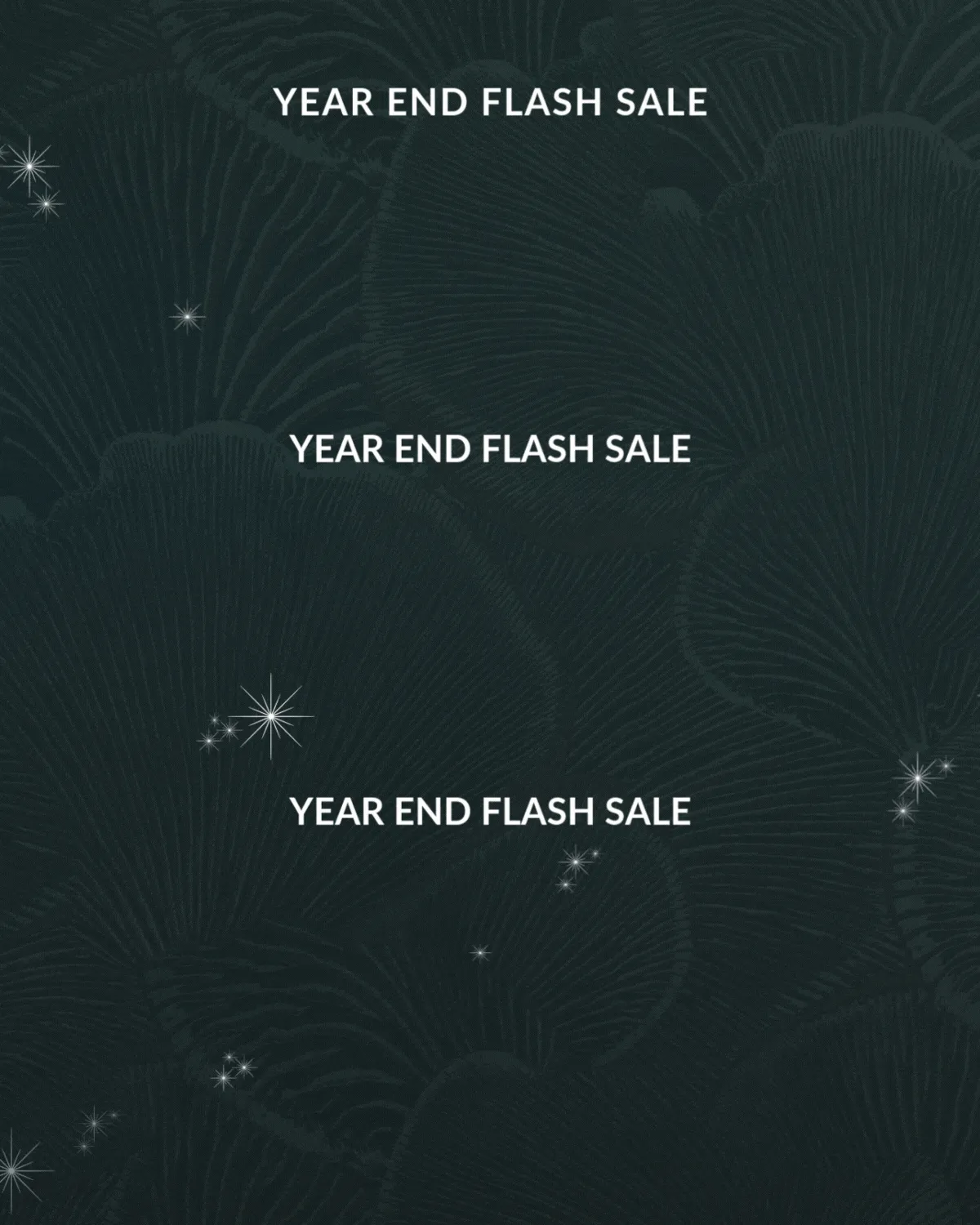 YEAR END FLASH SALE 25% OFF*