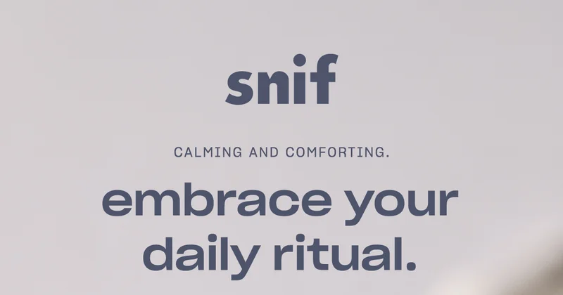 embrace your daily ritual.