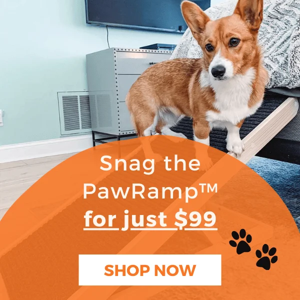 PawRamp
