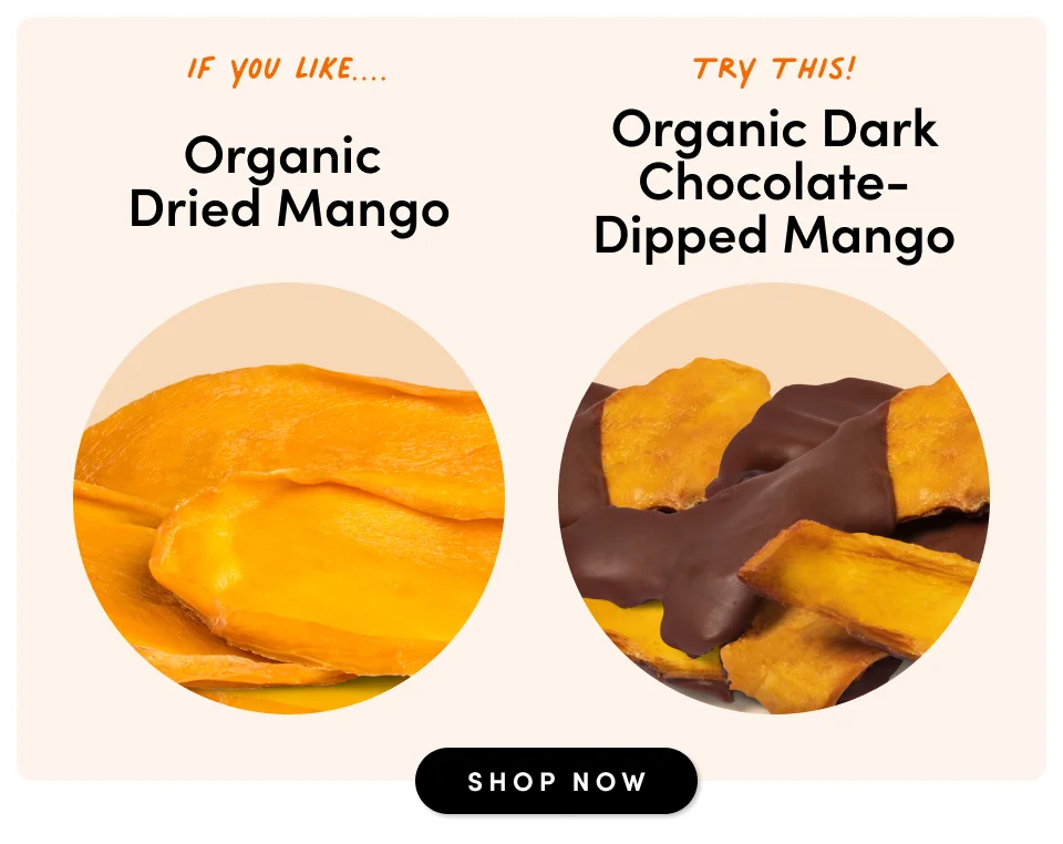 If you like Organic Dried Mango; try this organic dark chocolate-dipped mango; shop now