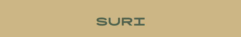 Visit the SURI website