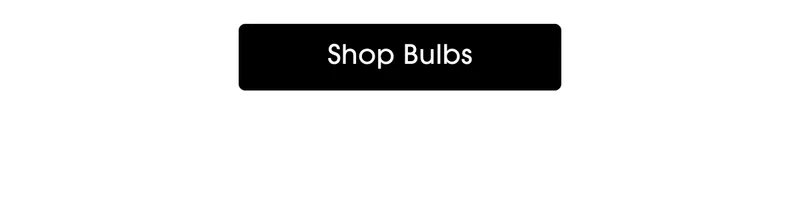 Shop Bulbs