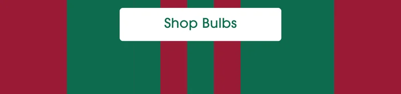 Shop Bulbs